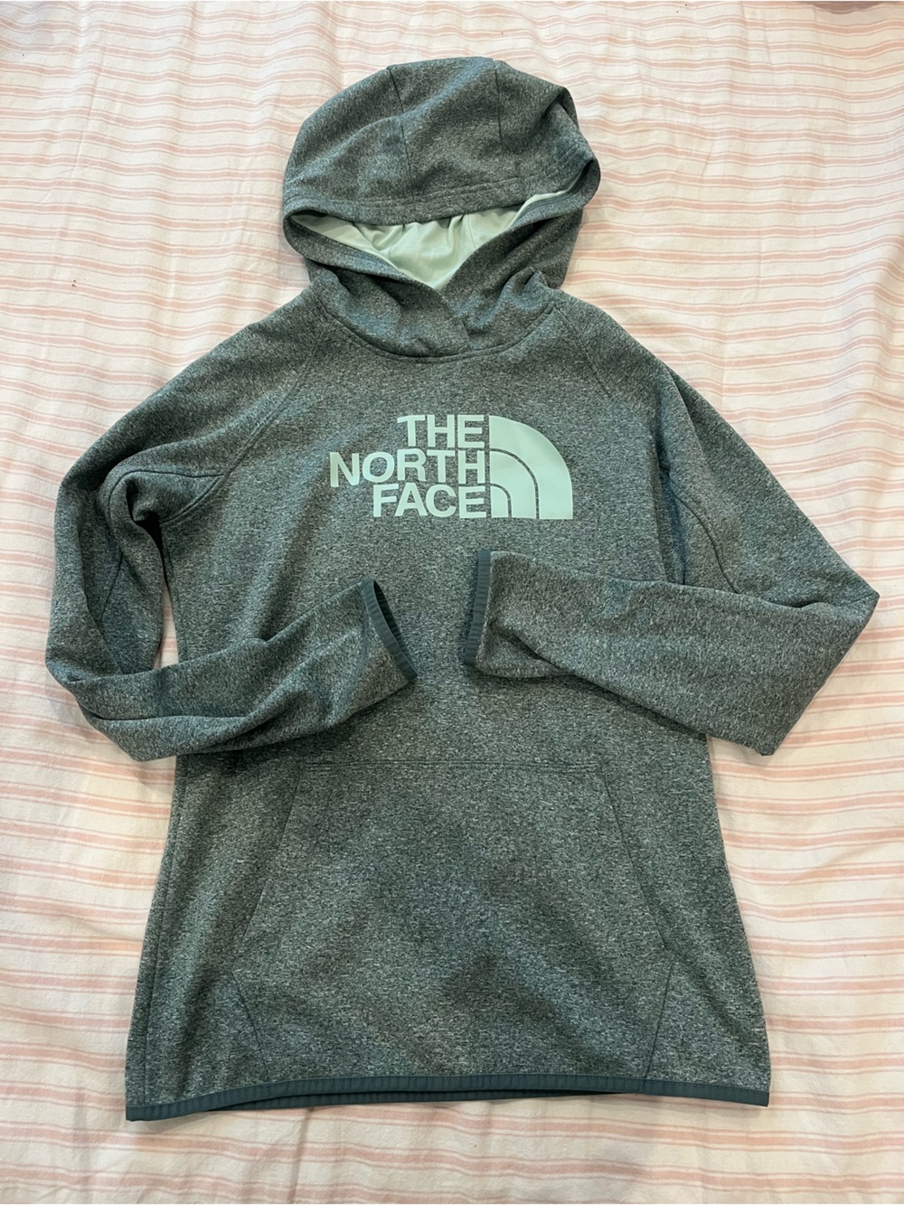 The North Face Women's Heather Gray Hoodie with Mint Lining